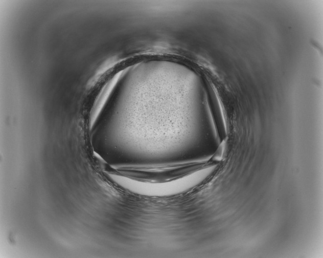 X0000097791304200803211812