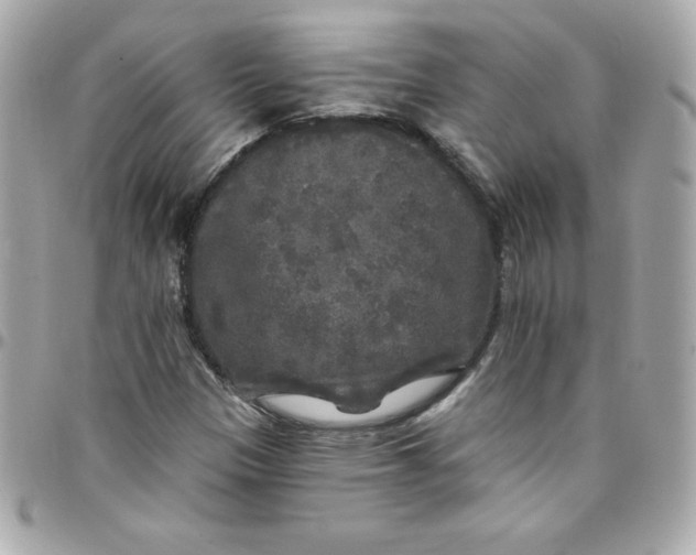 X0000097791305200803211812