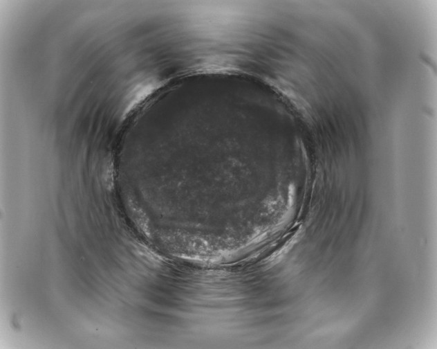 X0000097791306200803211812