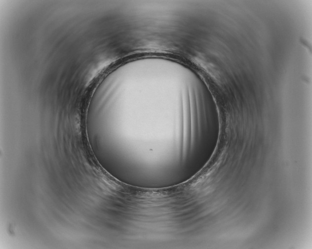 X0000097791307200803211812