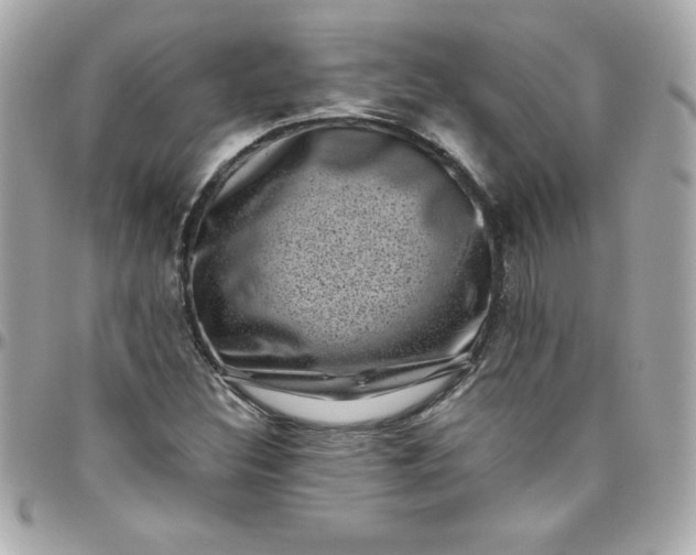 X0000097791308200803211812