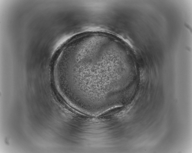 X0000097791311200803211812