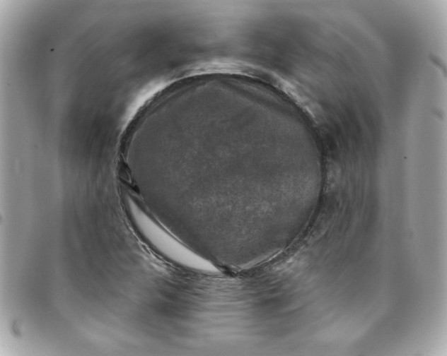X0000097791312200803211812