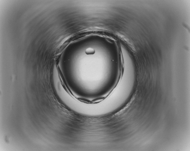 X0000097791313200803211812