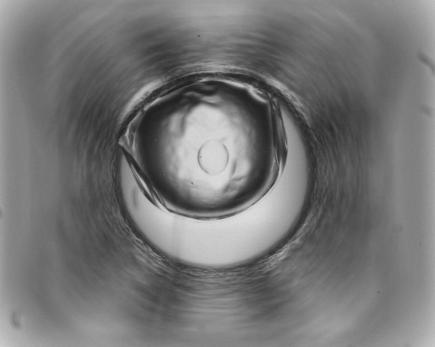 X0000097791314200803211812