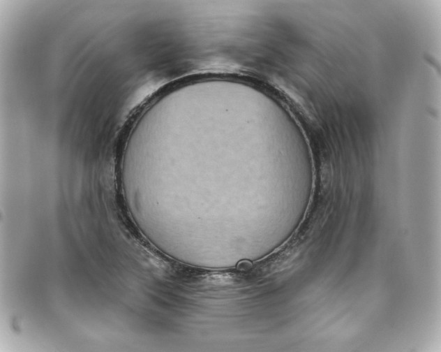 X0000097791315200803211812