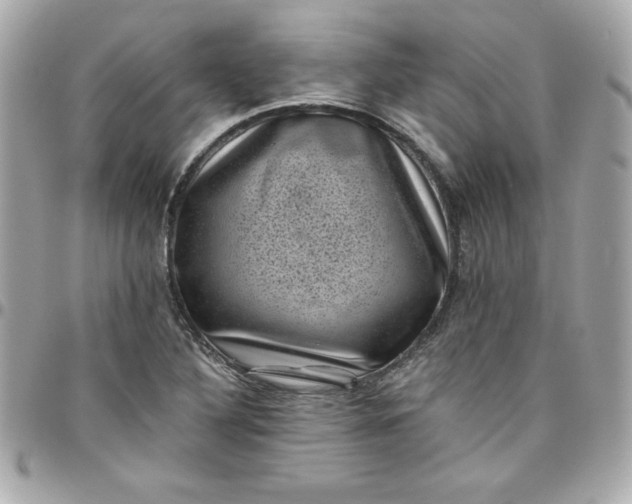 X0000097791316200803211812