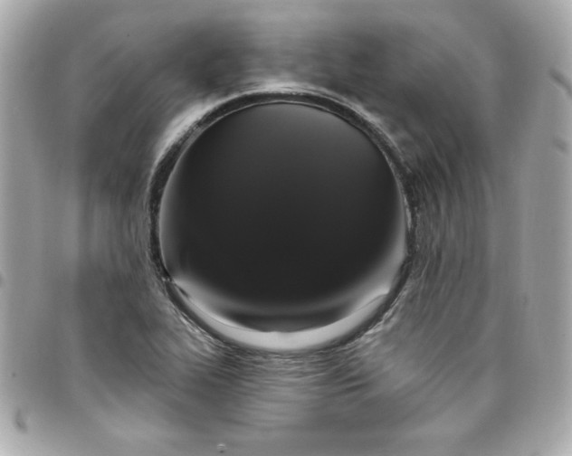 X0000097791319200803211812