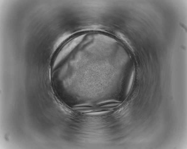 X0000097791320200803211812