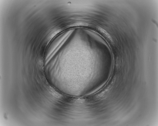 X0000097791321200803211812