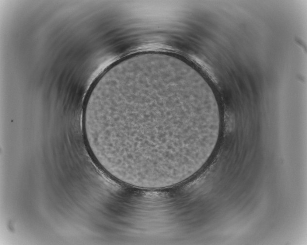 X0000097791322200803211812