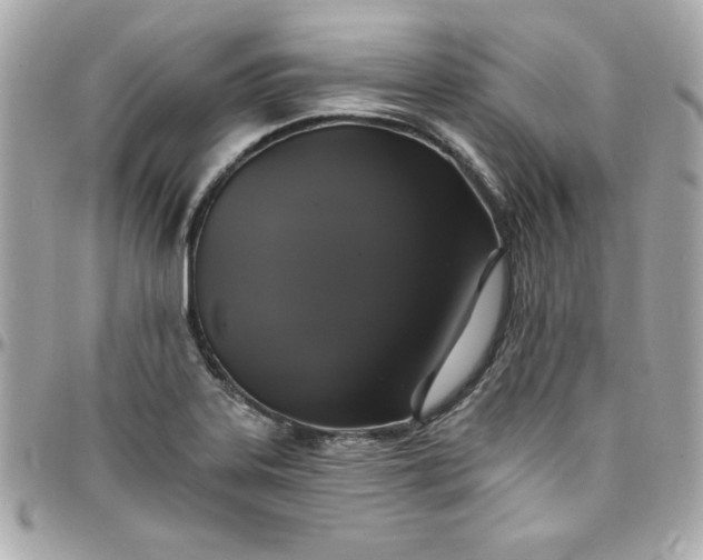 X0000097791323200803211812