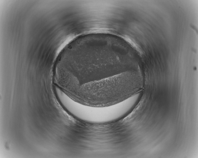 X0000097791325200803211812