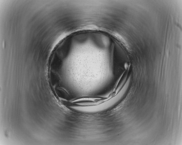 X0000097791326200803211812