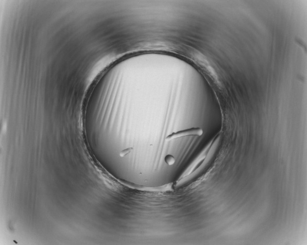 X0000097791328200803211812