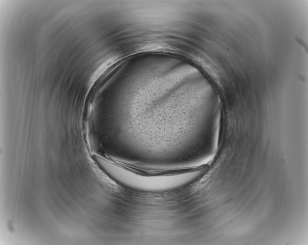 X0000097791330200803211812