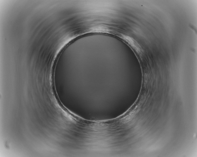 X0000097791331200803211812