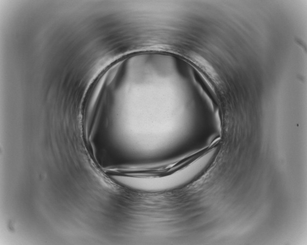 X0000097791332200803211812