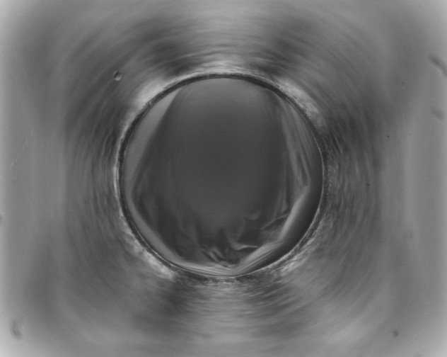 X0000097791334200803211812