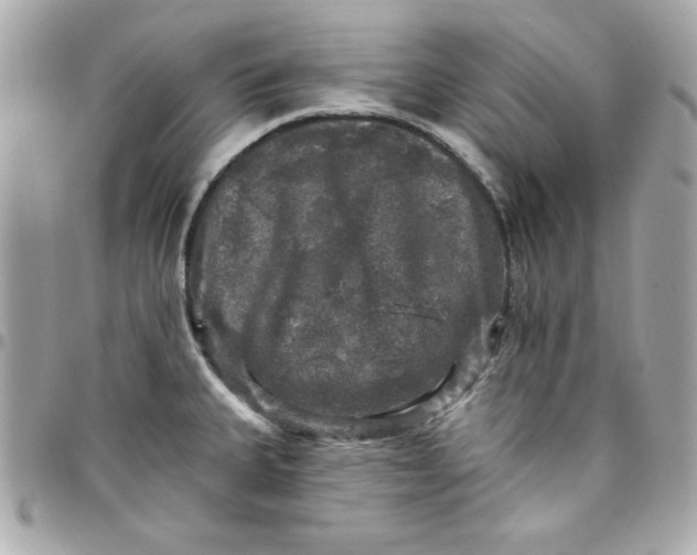 X0000097791335200803211812