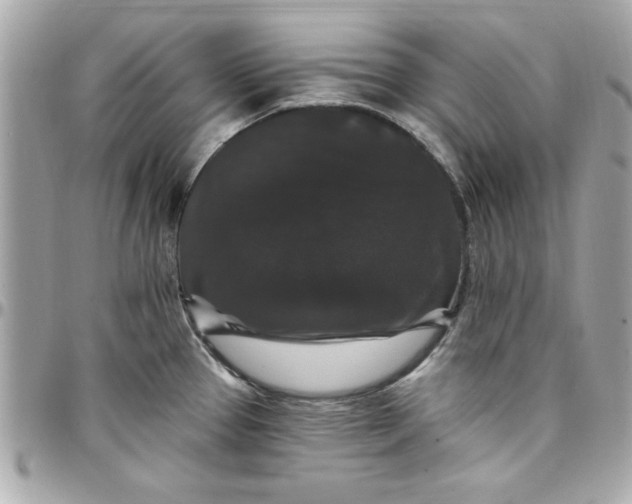 X0000097791337200803211812