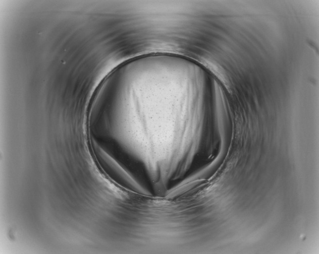 X0000097791339200803211812