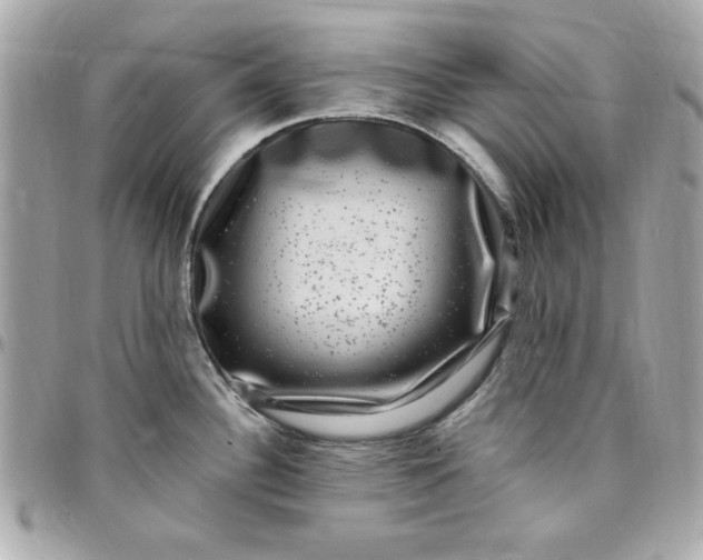 X0000097791340200803211812