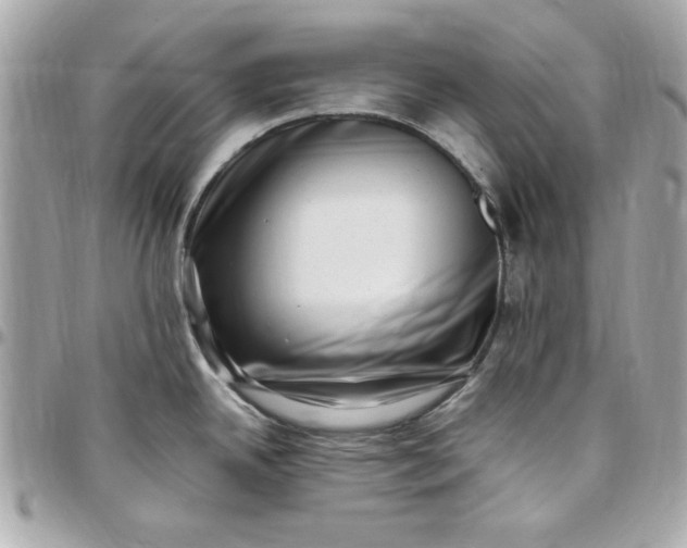 X0000097791342200803211812