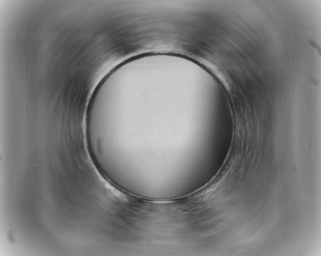 X0000097791343200803211812