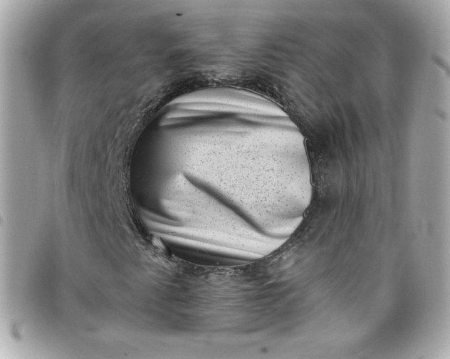 X0000097791345200803211812