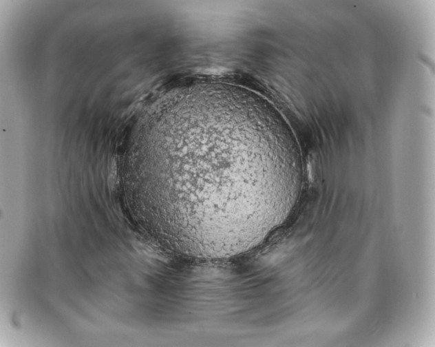 X0000097791347200803211812