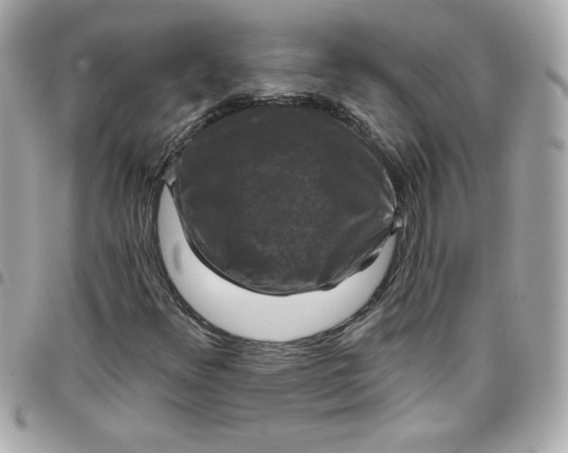 X0000097791348200803211812