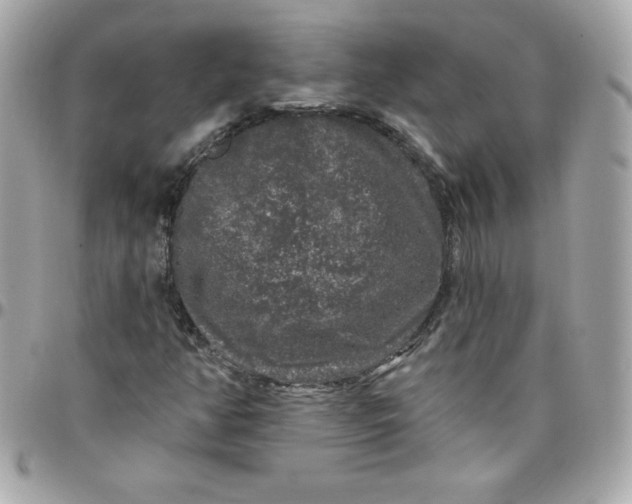X0000097791350200803211811
