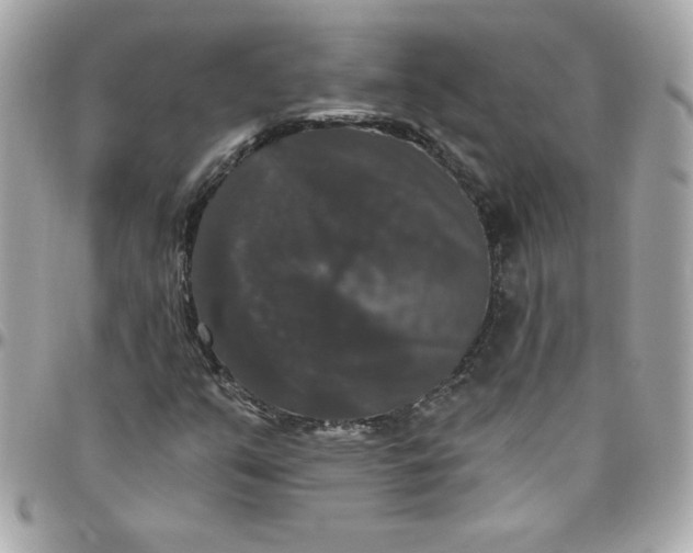 X0000097791351200803211811