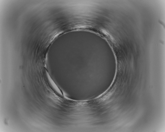 X0000097791353200803211811
