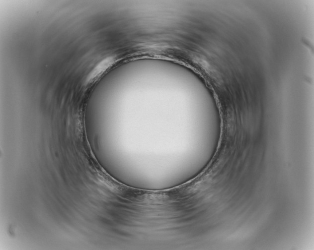 X0000097791354200803211811