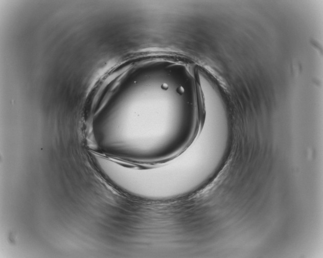 X0000097791357200803211811