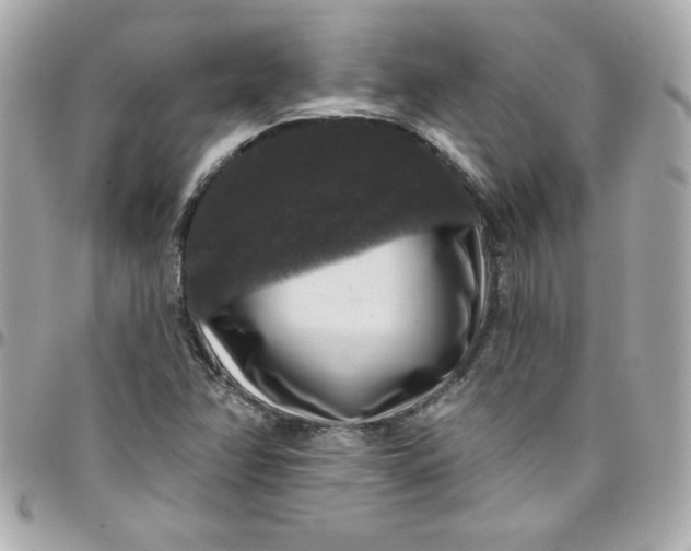 X0000097791358200803211811