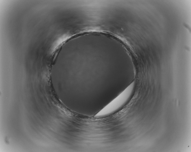 X0000097791359200803211811