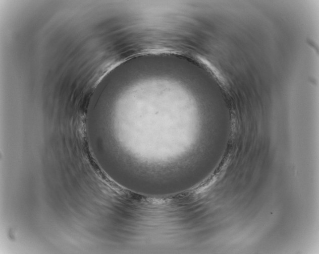 X0000097791361200803211811