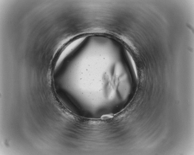 X0000097791364200803211811