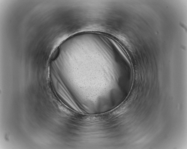 X0000097791366200803211811