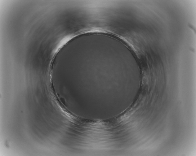 X0000097791367200803211811