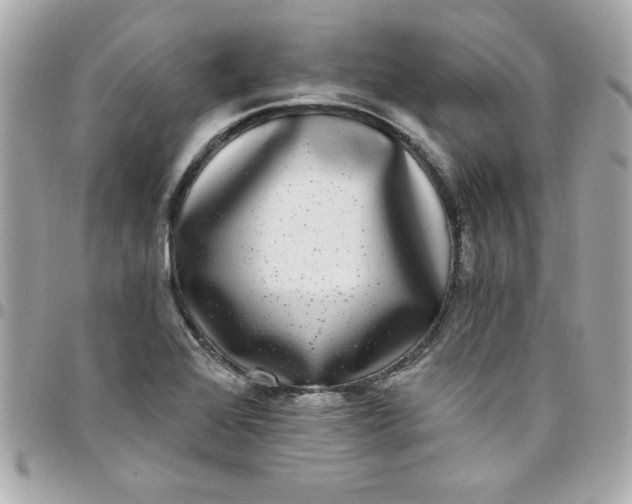 X0000097791368200803211811