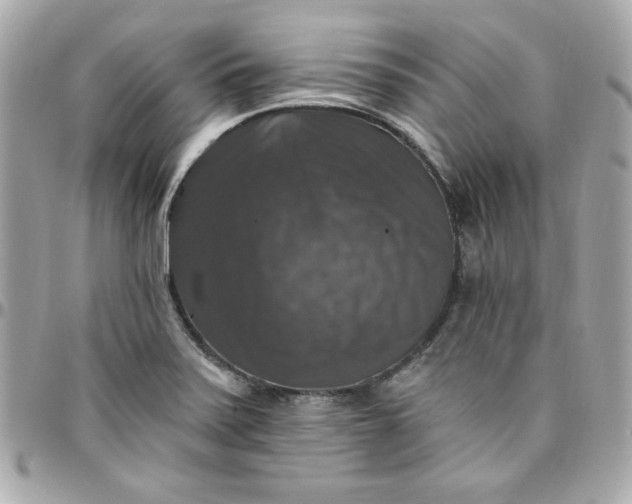 X0000097791371200803211811