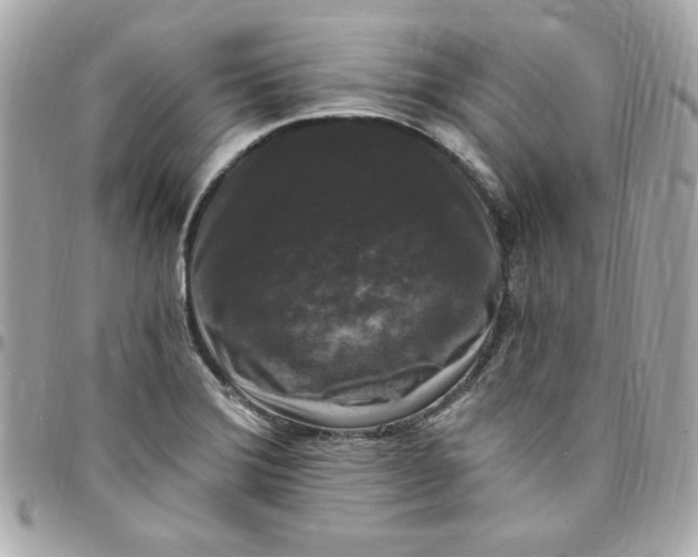 X0000097791372200803211811