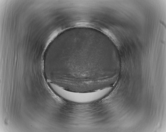 X0000097791376200803211811