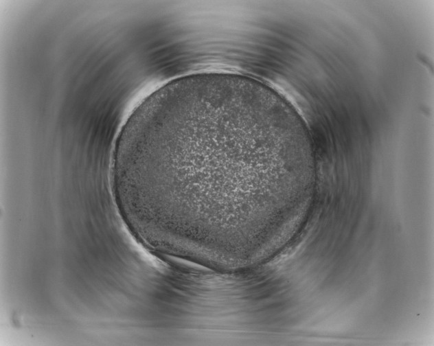 X0000097791379200803211811
