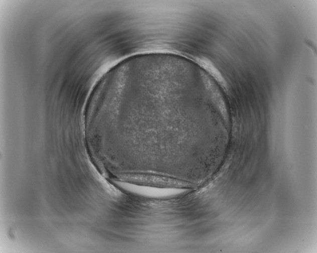 X0000097791380200803211811