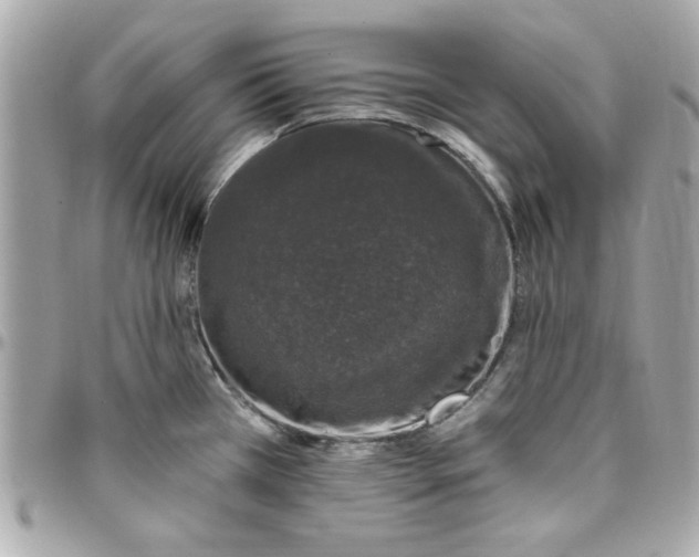 X0000097791385200803211811